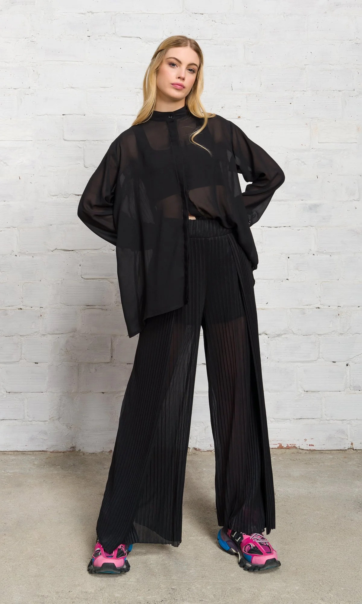 Sheer Pleated Wide Leg Pants - Image 6